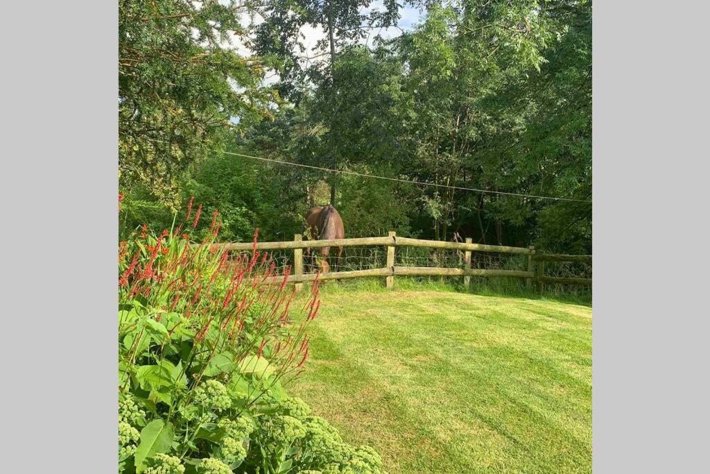 הוילה ליק Stunning Secluded Peak District Luxurious Barn מראה חיצוני תמונה