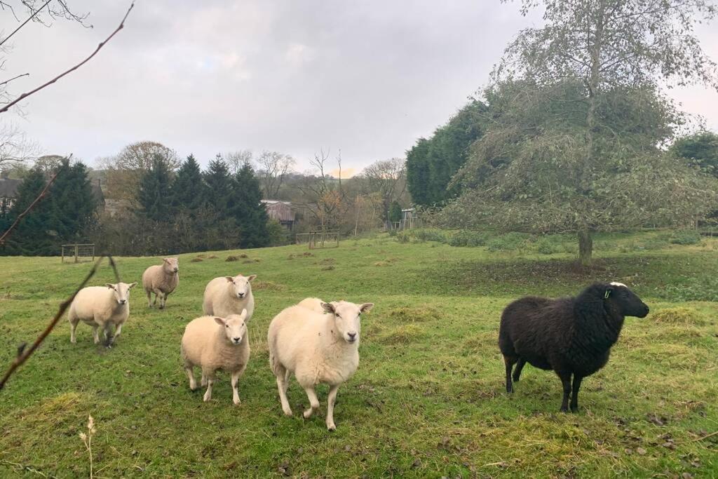 הוילה ליק Stunning Secluded Peak District Luxurious Barn מראה חיצוני תמונה