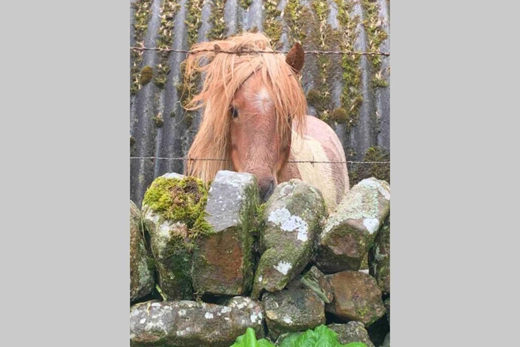 הוילה ליק Stunning Secluded Peak District Luxurious Barn מראה חיצוני תמונה